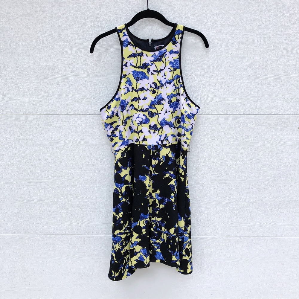 Peter Pilotto for Target Dress
